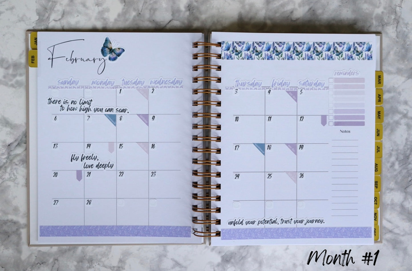 LL-003 Spread Your Wings