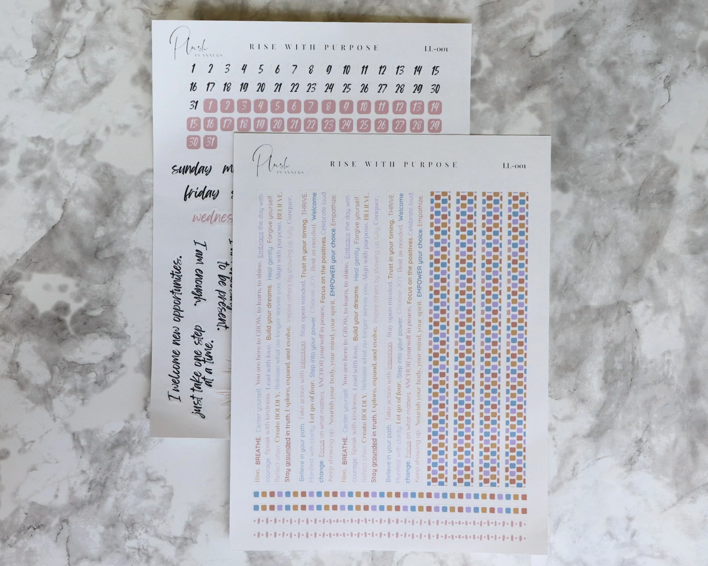 LL-001 Rise With Purpose