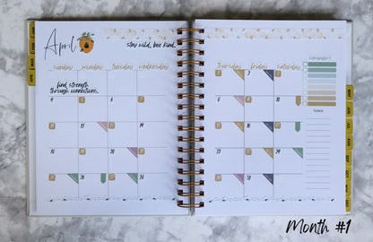 LL-004 Thrive In Harmony